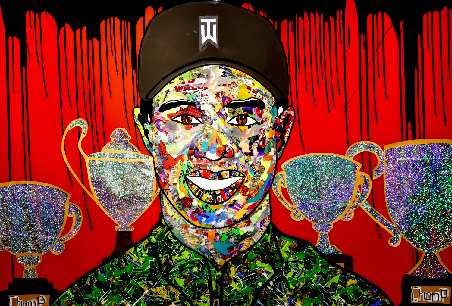 Tiger woods 